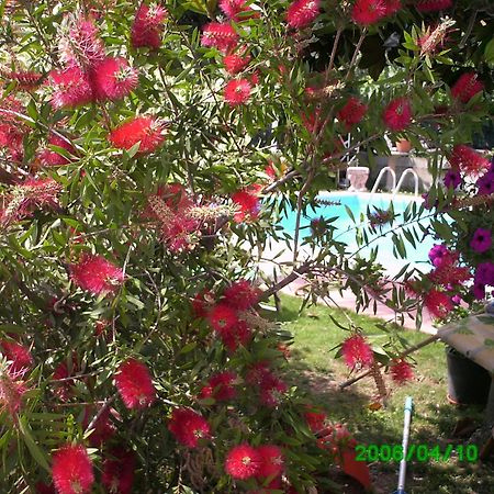 B&B Desenzano 데센자노델가르다 외부 사진