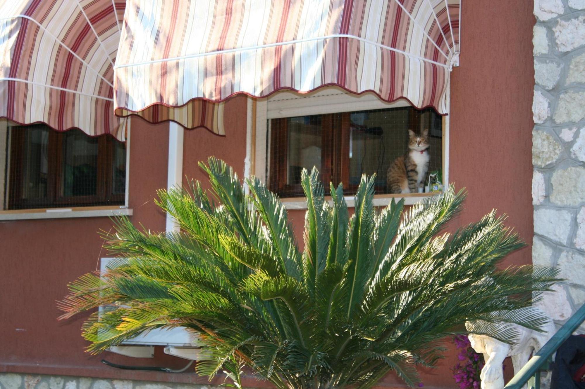 B&B Desenzano 데센자노델가르다 외부 사진